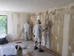 Best Mold Remediation for Healthcare Facilities  in San Marino, CA